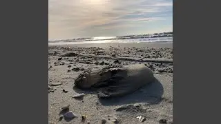 Deep Within Us