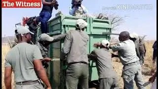 Curbing rhino poaching