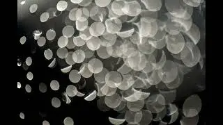 Murcielo - Teardrop