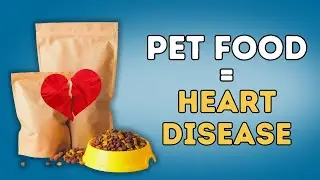 Pet Foods Linked To Heart Disease (16 Brands)