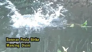 Masih Saja Pesta STRIKE terus Mancing Disini