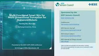 Multi-Functional Smart Skin for Multi-Dimensional Perception for Humanoid Robots