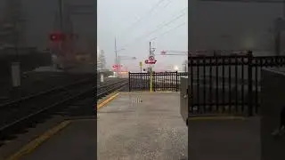 Arriving GO Train on a foggy morning