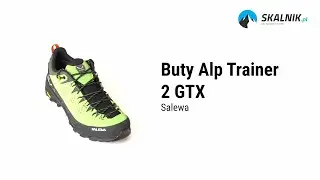 Buty Salewa Alp Trainer 2 GTX - skalnik.pl