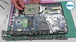 Dell Inspiron 15 3501 — руководство по замене сенсорной панели