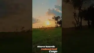 Pointe-Noire Congo 🇨🇬❤️❤️🦋🌟 Parc Conkouati Douli