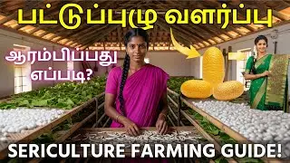 How to start Sericulture farming | பட்டு வளர்ப்பு ஆரம்பிக்கிறது எப்படி? #sericulture   #silkfarming
