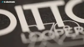 Ditto X2 Looper (deutsche Version)