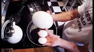 GOOSE EGGS WITH A FUN GUY!!!