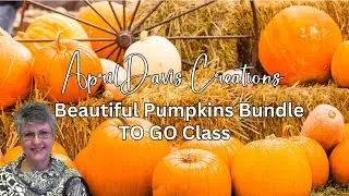 Stampin&rsquo; Up! - Beautiful Pumpkins Bundle - TO GO Class