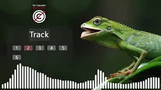 6 LIZARD SOUND EFFECTS | LIZARD NOISES | MONITOR LIZARD SOUND