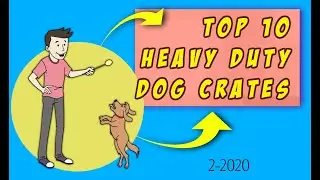 Top 10 Heavy Duty Dog Crates 2 20 - Rating ⭐⭐⭐⭐⭐