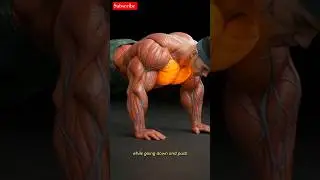 🔥 Most people do push-ups wrong! Best form, Target chest #chestworkout #homeworkout  #gym #fitness