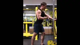 Single Arm Cable Curl