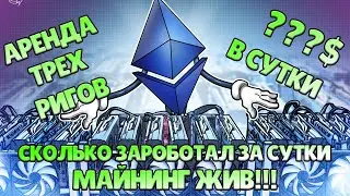 Clore Ai Доходность в сутки Как настроил Аренда