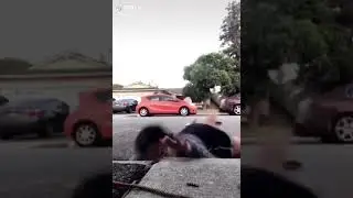 Tiktok try not to laugh 8 second