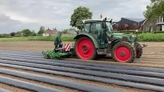 Folie leggen bataat 2021