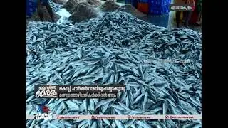 കൊച്ചി ഹാര്&zwj;ബര്&zwj; വാണിജ്യ ഹബ്ബാക്കുന്നു; മത്സ്യത്തൊഴിലാളികള്&zwj;ക്ക് വന്&zwj; നേട്ടം Kochi Harbour