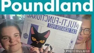 Mora pets cat scratching post collab& a huge poundland haul ✨️ #haul #cat #cats #pets#poundland #toy