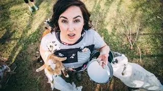 My Family left me HOME ALONE...with Goat Chores
