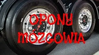 Anatomia - Opony mózgowia, zatoki opony twardej