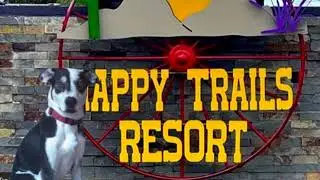 Talking Harley: Happy Trails Morning Updates Are Coming Soon!