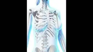 🩻NARROW RIB CAGE‼️ (ORGANS SAFE) ☣️(USE WITH CAUTION)☣️ SUBLIMINAL