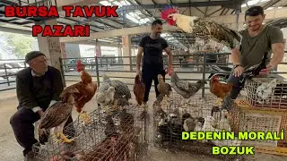BURSA TAVUK PAZARI  YEPYENİ BÖLÜM 1 KAZ ÖRDEK HİNDİ KEKLİK HOROZ