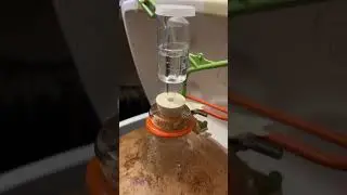 D2 - Fermentation Dunkelweizen