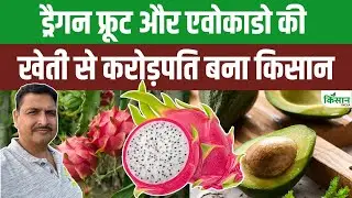 Dragon Fruit और Avocado की खेती से करोड़ों की कमाई | खुद किसान ने बताया सफलता का राज | Exotic fruits
