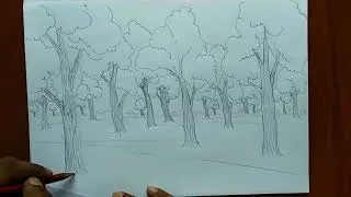 How  to draw forest scene Step by step | Forest drawing for beginner (very easy) | Art video