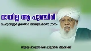 ശൈഖുനാ ചെറുവാളൂർ ഉസ്താദ് അനുസ്മരണ ഗാനം