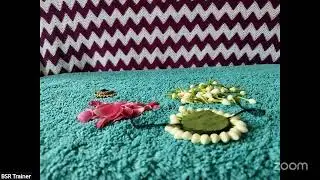 Flower Veni  Making | Class-12 | BSR edu-designers