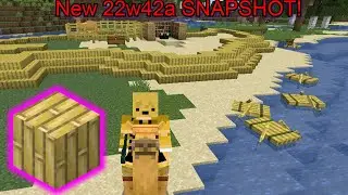 Minecraft just released a new snapshot and it is......