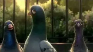 Bolt, pigeons