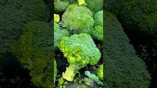 BROCCOLI | Price in Danube Supermarket