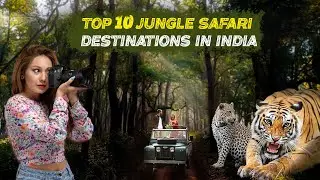 India's Top 10 Jungle Safari Destinations: Wild Adventures Await! | Best Jungle Safari In India 🌳🐘