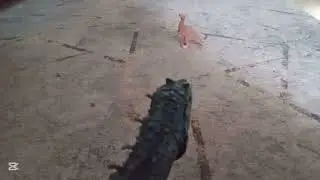 Indominus rex stop motion test