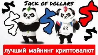 Punk Panda \ Обсолютно всё что вы хотели знать про майнинг на телефоне в мобильном приложении