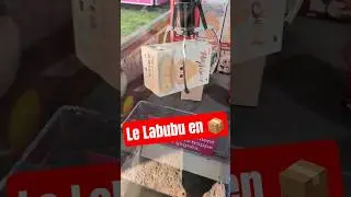 J&rsquo;&eacute;tais SI proche de gagner le Labubu en bo&icirc;te&hellip; INCROYABLE !