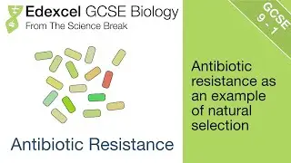 Edexcel GCSE Biology - Antibiotic Resistance and Natural Selection