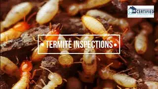 Certified Home Inspections Expert Building and pest inspections Brisbane Experts