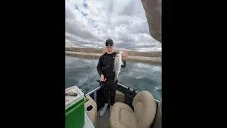 A Striped Sensation: Battling Bass at Lake Pleasant, Arizona