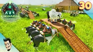 OPTIMISATION et ORGANISATION DU BREEDING ! RAGNAROK EP30  ARK SURVIVAL ASCENDED FR