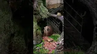 Samorost 1 -  Gameplay Walkthrough Full Game on iOs Part 8