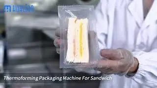 Hualian Thermoforming Packaging Machine For Sandwiches Industry