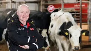 Lely Robotic Milking Helping to Improve Cell Count | Denis Mulcahy Co.Limerick