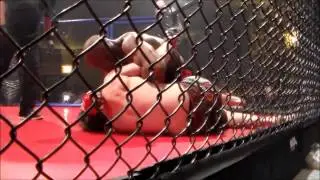 Mmaassault presents: Apex Fight Night IV   