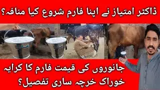 How to Start Dairy Farming in Pakistan | Shed Design, Investment & Profit Feasibility 2025