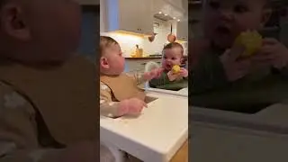 Twin Babies FIGHT Over Corn 🌽😱#babyfunny #twins #siblingrivalry #funnybabies  #funny #baby #babygirl